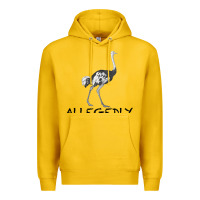 Allegedly Premium Hoodie | Teevron