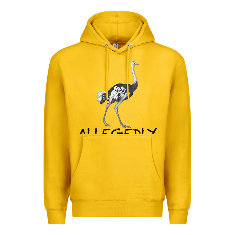 Allegedly Premium Hoodie by Bettercallsaul | Teevron