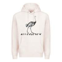 Pale Pink allegedly Premium Hoodie - Bettercallsaul