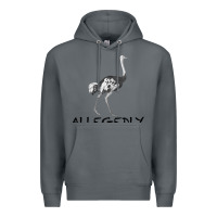 Rock allegedly Premium Hoodie - Bettercallsaul