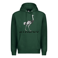Sports Green allegedly Premium Hoodie - Bettercallsaul