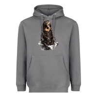Storm Malayan Sun Bear Heavyweight Hoodie - LillyAllenDesigns