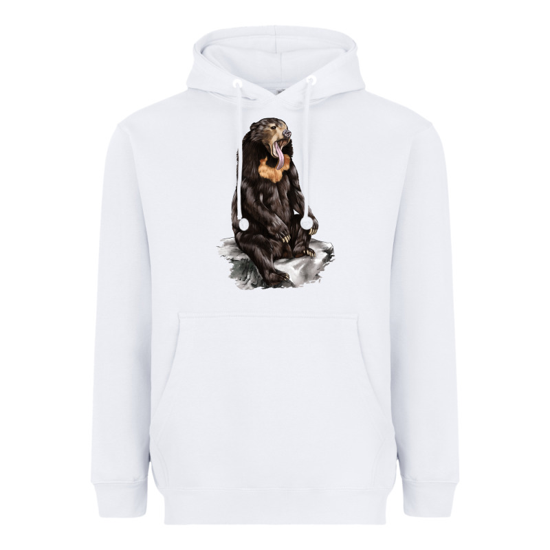 Malayan Sun Bear Heavyweight Hoodie by LillyAllenDesigns | Teevron