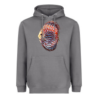 Storm Discus Fish Heavyweight Hoodie - LillyAllenDesigns