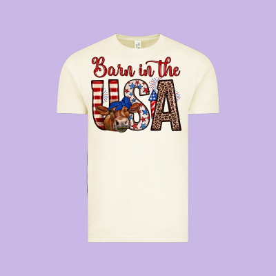 Barn In The Usa Vintage Tee Designed By Zillion Design Studio
