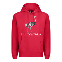 Cardinal allegedly Premium Hoodie - Bettercallsaul
