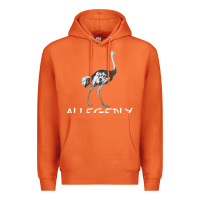 Carrot allegedly Premium Hoodie - Bettercallsaul