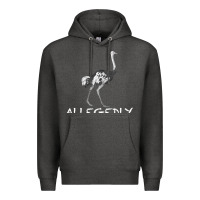 Charcoal Heather allegedly Premium Hoodie - Bettercallsaul