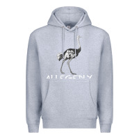 Heather Grey allegedly Premium Hoodie - Bettercallsaul