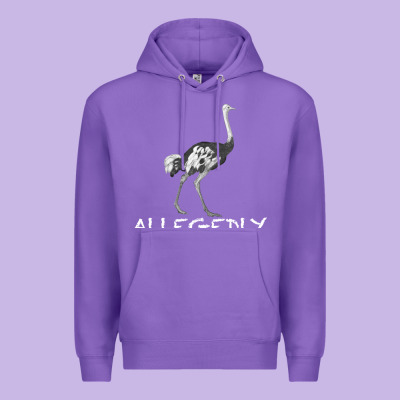 Allegedly Premium Hoodie Designed By Bettercallsaul