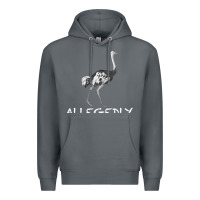 Rock allegedly Premium Hoodie - Bettercallsaul