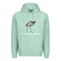 Seafoam allegedly Premium Hoodie - Bettercallsaul