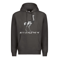 Smoke allegedly Premium Hoodie - Bettercallsaul