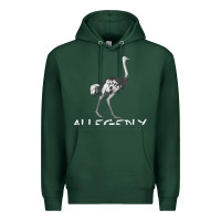 Sports Green allegedly Premium Hoodie - Bettercallsaul