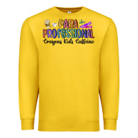 Paraprofessional Premium Sweatshirt | Teevron