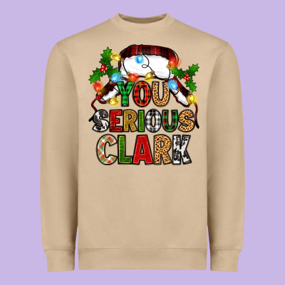 Heavyweight Sweatshirt you serious clark