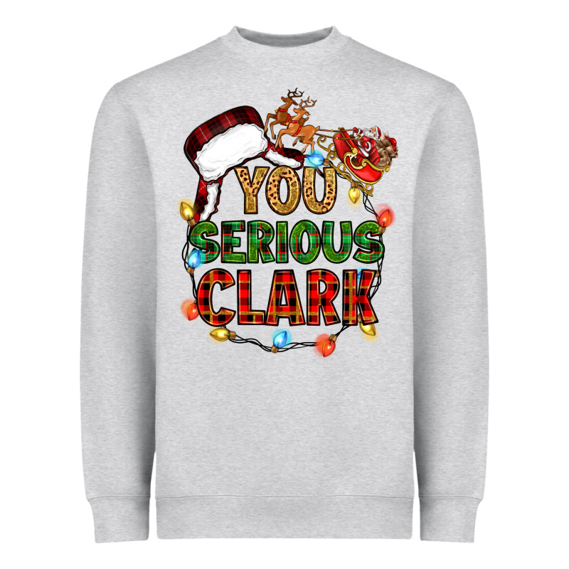 You Serious Clark Heavyweight Sweatshirt by Zillion Design Studio | Teevron