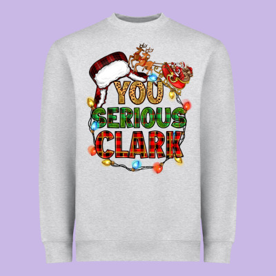 Heavyweight Sweatshirt you serious clark