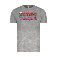 Cloud Rock assistant principal Vintage Tee - texasbilliewilder