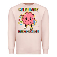 Pale Pink celebrate neurodiversity Premium Sweatshirt - MaliasSmallBusiness