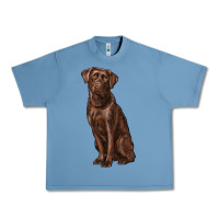 Pebble Blue labrador retriever Urban Heavy Tee - RanaPortraitStore