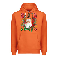 Carrot Santa baby Christmas Premium Hoodie - NancyCooperArtShop
