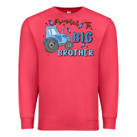 Cardinal promoted to big brother Premium Sweatshirt - MaliasSmallBusiness