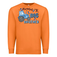 Carrot promoted to big brother Premium Sweatshirt - MaliasSmallBusiness