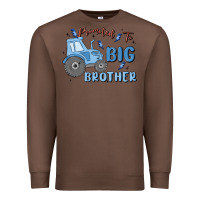 Chestnut promoted to big brother Premium Sweatshirt - MaliasSmallBusiness