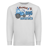 Dove Grey promoted to big brother Premium Sweatshirt - MaliasSmallBusiness