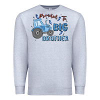 Heather Grey promoted to big brother Premium Sweatshirt - MaliasSmallBusiness