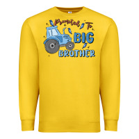 Lemon promoted to big brother Premium Sweatshirt - MaliasSmallBusiness