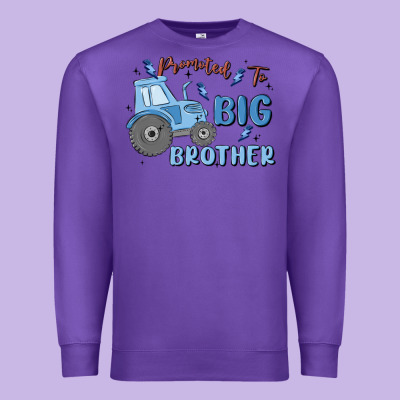 Promoted To Big Brother Premium Sweatshirt Designed By Maliassmallbusiness