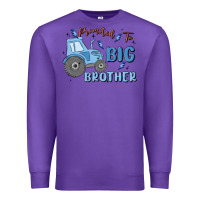Purple promoted to big brother Premium Sweatshirt - MaliasSmallBusiness
