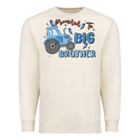 Sandshell promoted to big brother Premium Sweatshirt - MaliasSmallBusiness