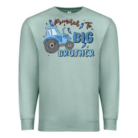 Seafoam promoted to big brother Premium Sweatshirt - MaliasSmallBusiness