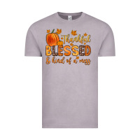 Vintage Zinc thankful blessed and kind of a mess Vintage Tee - Zillion Design Studio