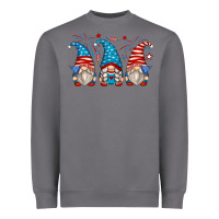 Storm fourth of july gnomes Heavyweight Sweatshirt - Zillion Design Studio