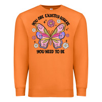 Carrot you are exactly where you need to be Premium Sweatshirt - MaliasSmallBusiness