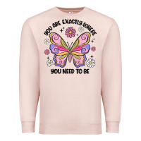 Pale Pink you are exactly where you need to be Premium Sweatshirt - MaliasSmallBusiness