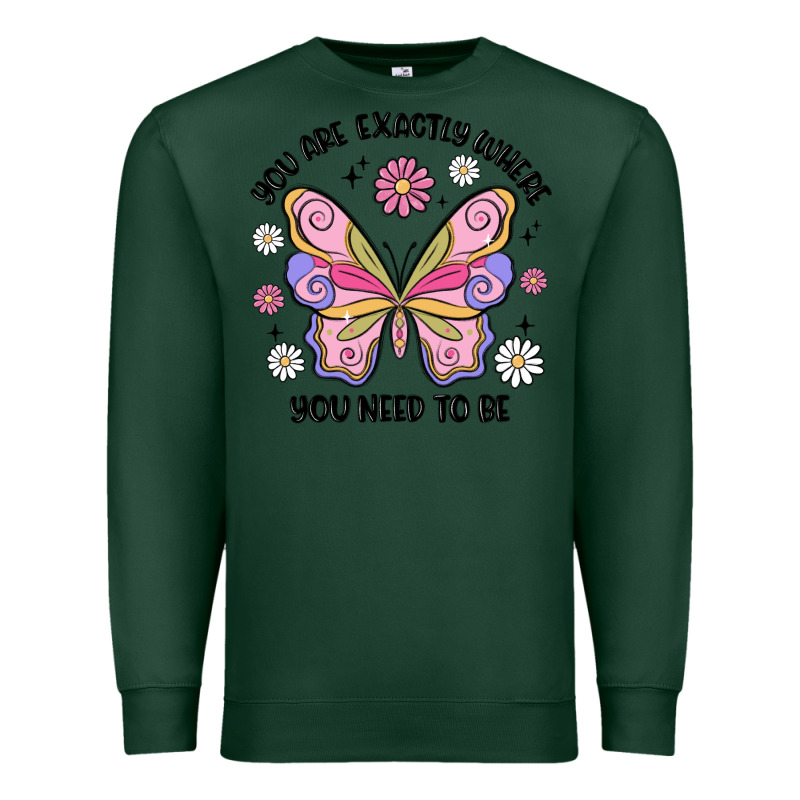 You Are Exactly Where You Need To Be Premium Sweatshirt by MaliasSmallBusiness | Teevron