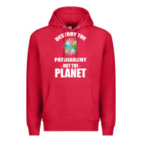 Cardinal Destroy the patriarchy not the planet Premium Hoodie - Bettercallsaul