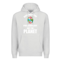 Dove Grey Destroy the patriarchy not the planet Premium Hoodie - Bettercallsaul