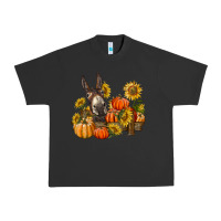 Pigment Black donkey sunflower and pumpkin farm Urban Heavy Tee - BarkalooDesign