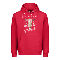 Cardinal Do No Harm But Take No Bull Premium Hoodie - Bettercallsaul