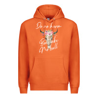 Carrot Do No Harm But Take No Bull Premium Hoodie - Bettercallsaul