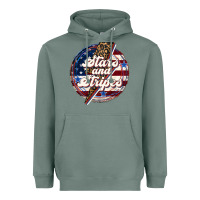 Sage Western Stars and Stripes Heavyweight Hoodie - LillyAllenDesigns