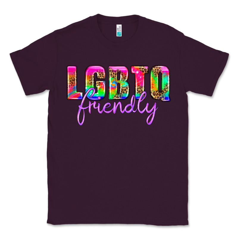 Lgbtq Friendly Classic Tee by HRA Design Shop | Teevron