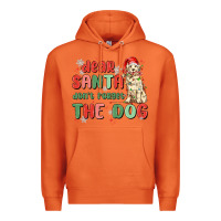 Carrot dear santa dont forget the dog Premium Hoodie - MaliasSmallBusiness