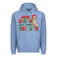 Colony Blue dear santa dont forget the dog Premium Hoodie - MaliasSmallBusiness